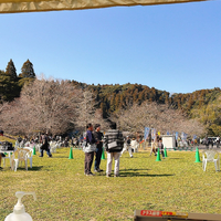 画像955