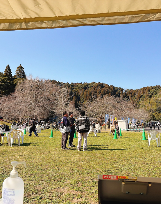 画像955