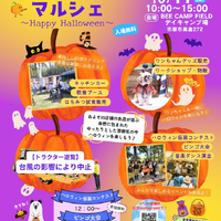 画像976